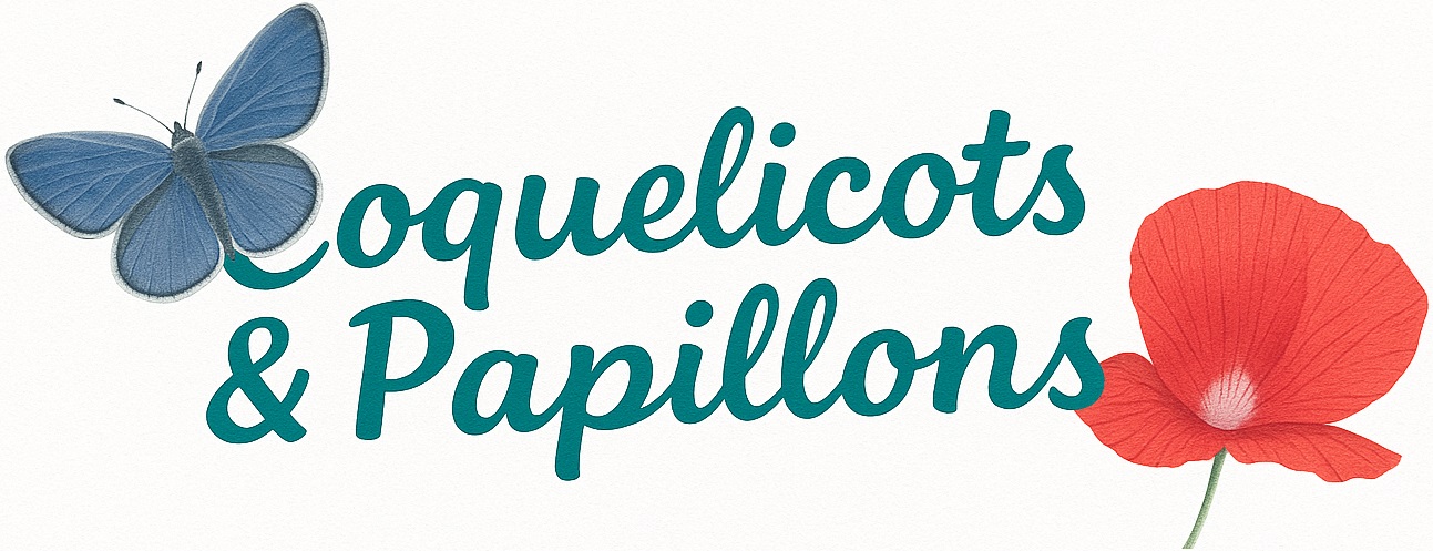 Coquelicots & Papillons